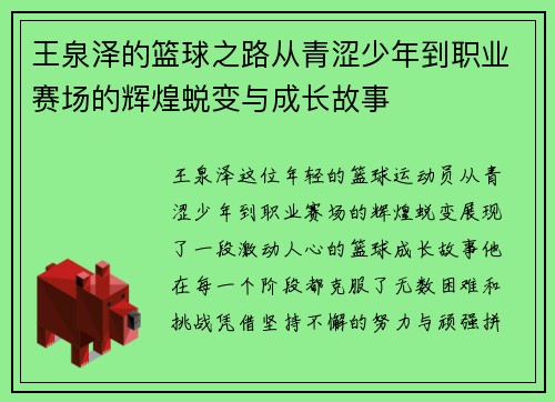王泉泽的篮球之路从青涩少年到职业赛场的辉煌蜕变与成长故事